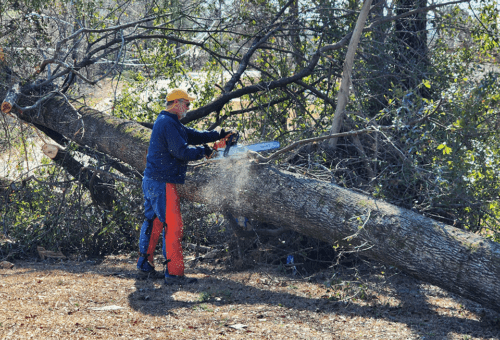 Disaster Relief - Mississippi Baptist Convention Board